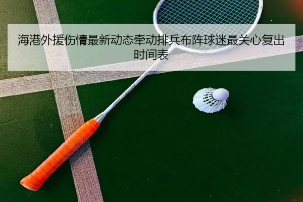 海港外援伤情最新动态牵动排兵布阵球迷最关心复出时间表